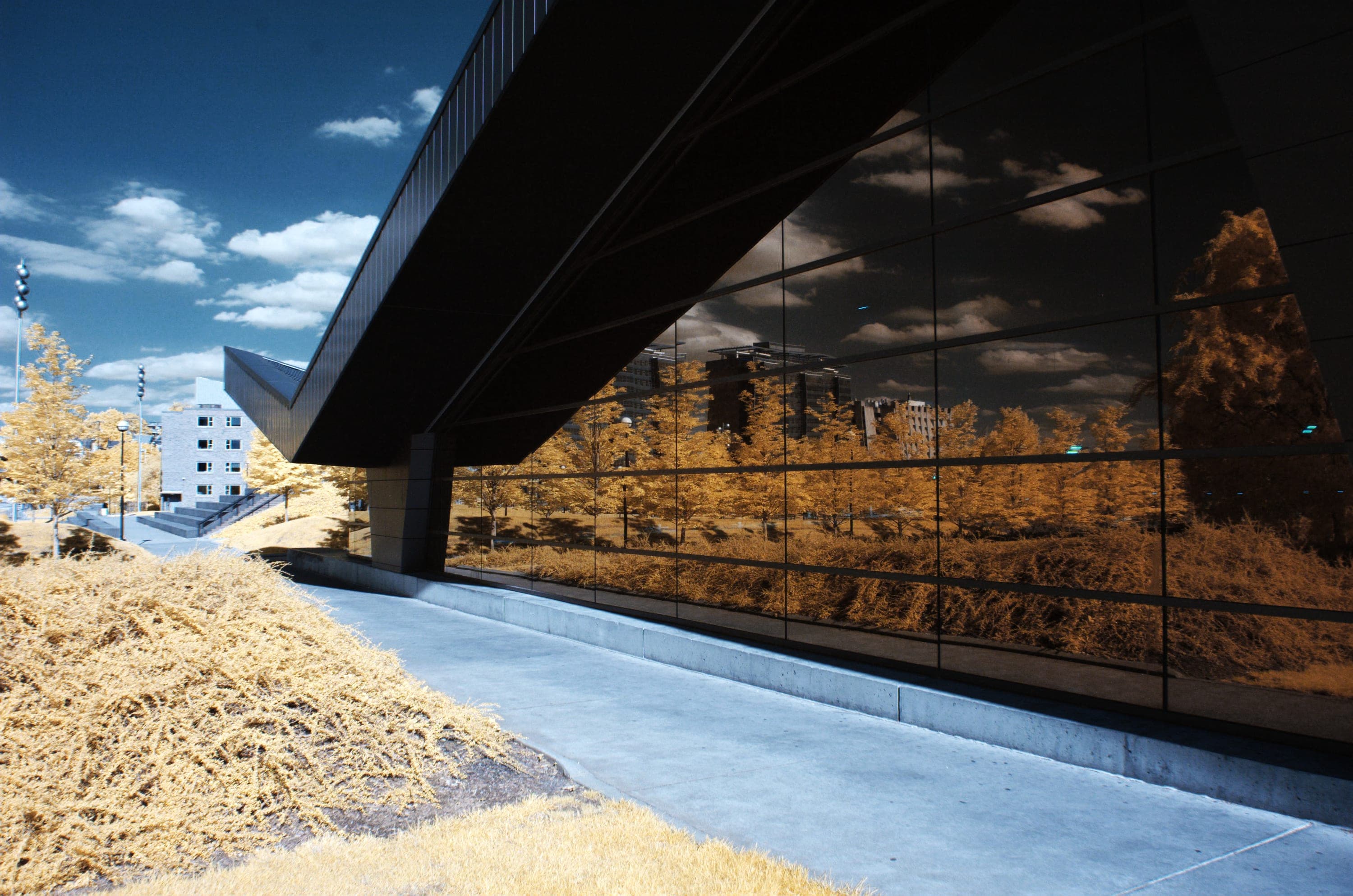 A black glass pavilion reflecting golden grass and clouds along a walkway