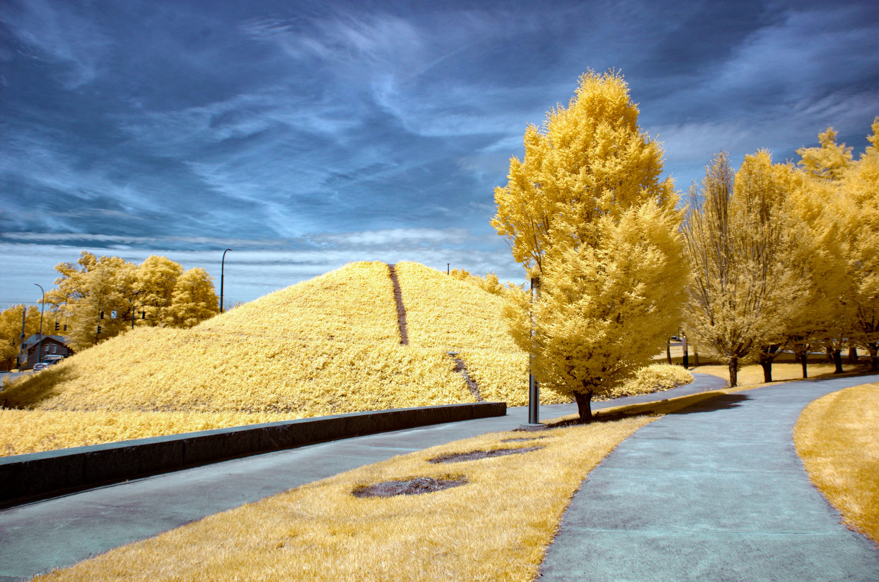 A path curving past a golden mound and lone tree under thin cirrus sky