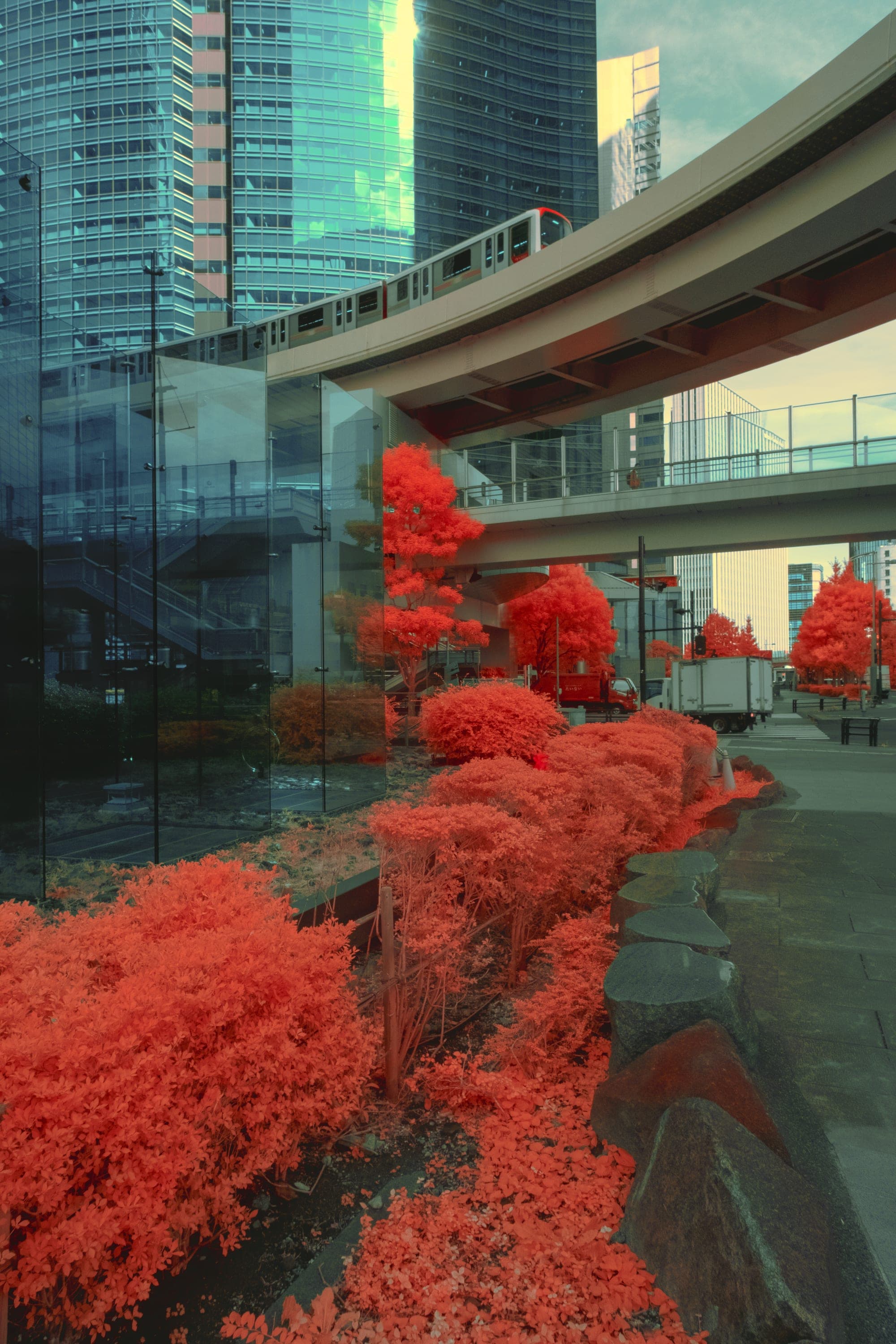 An elevated expressway curving between glass towers, crimson maples burning beneath the ramp