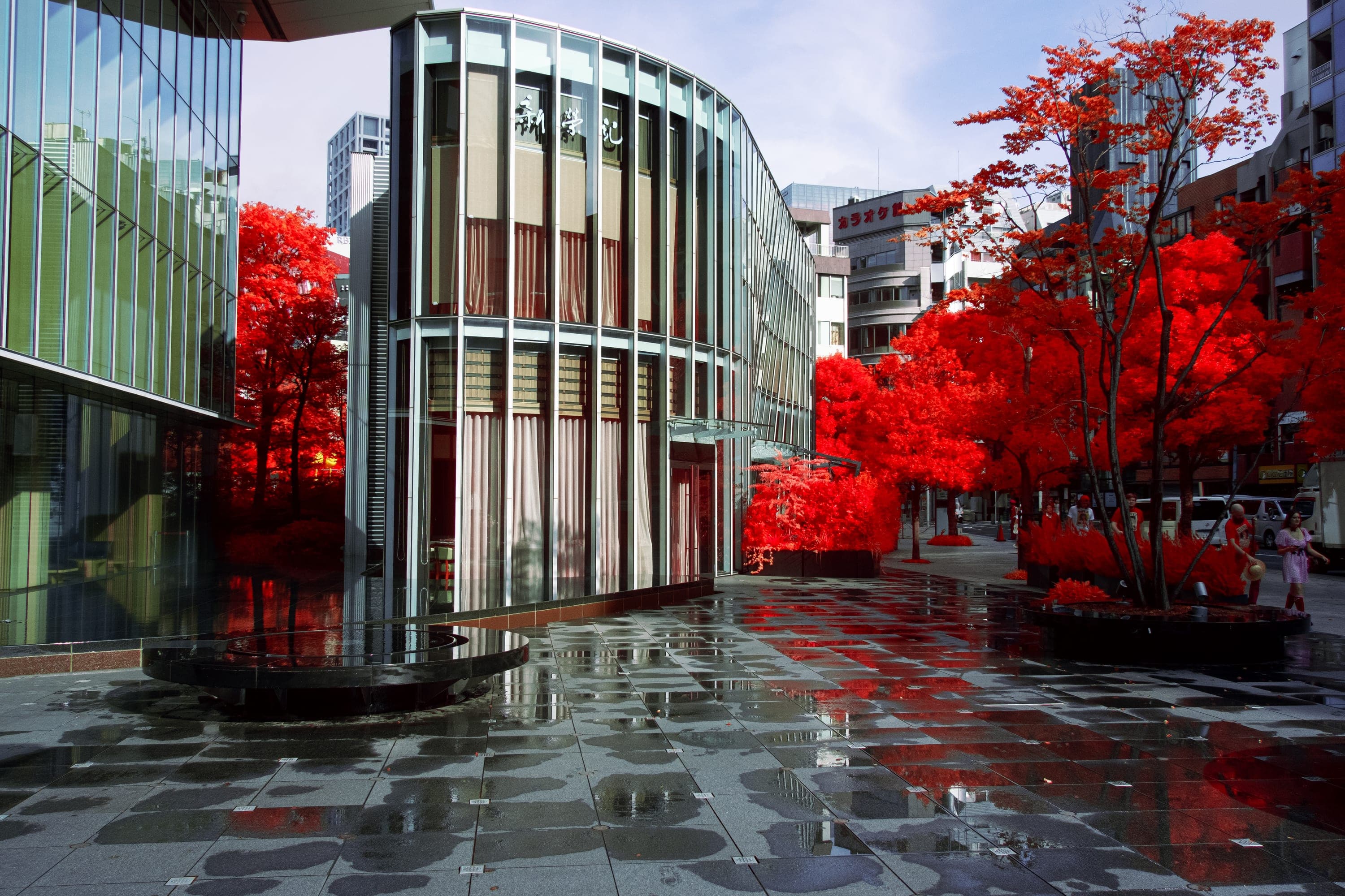 A wet plaza reflecting crimson maples between a curved glass pavilion and the street
