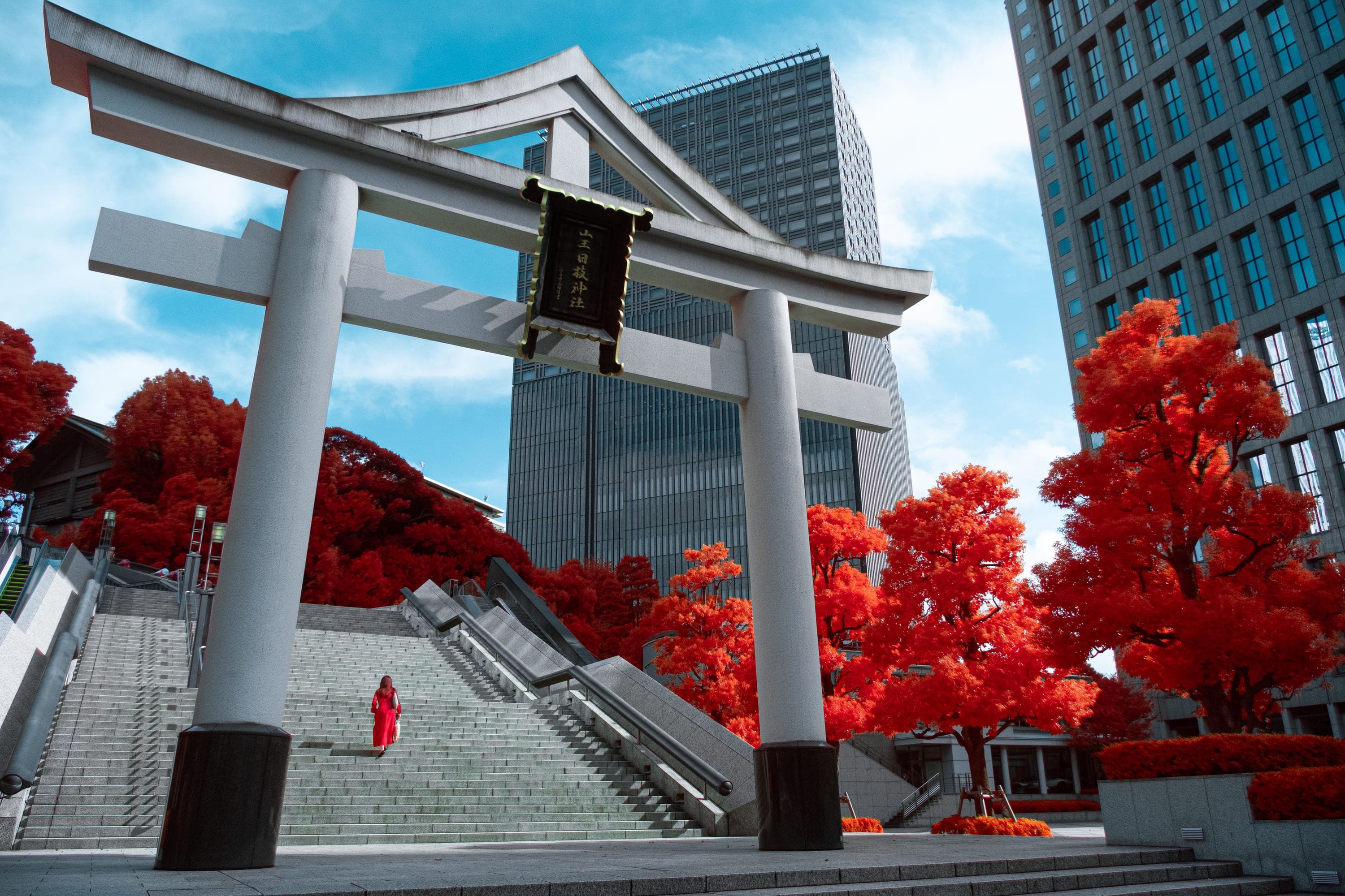 A stone torii gate at the foot of shrine steps, crimson trees and office towers behind