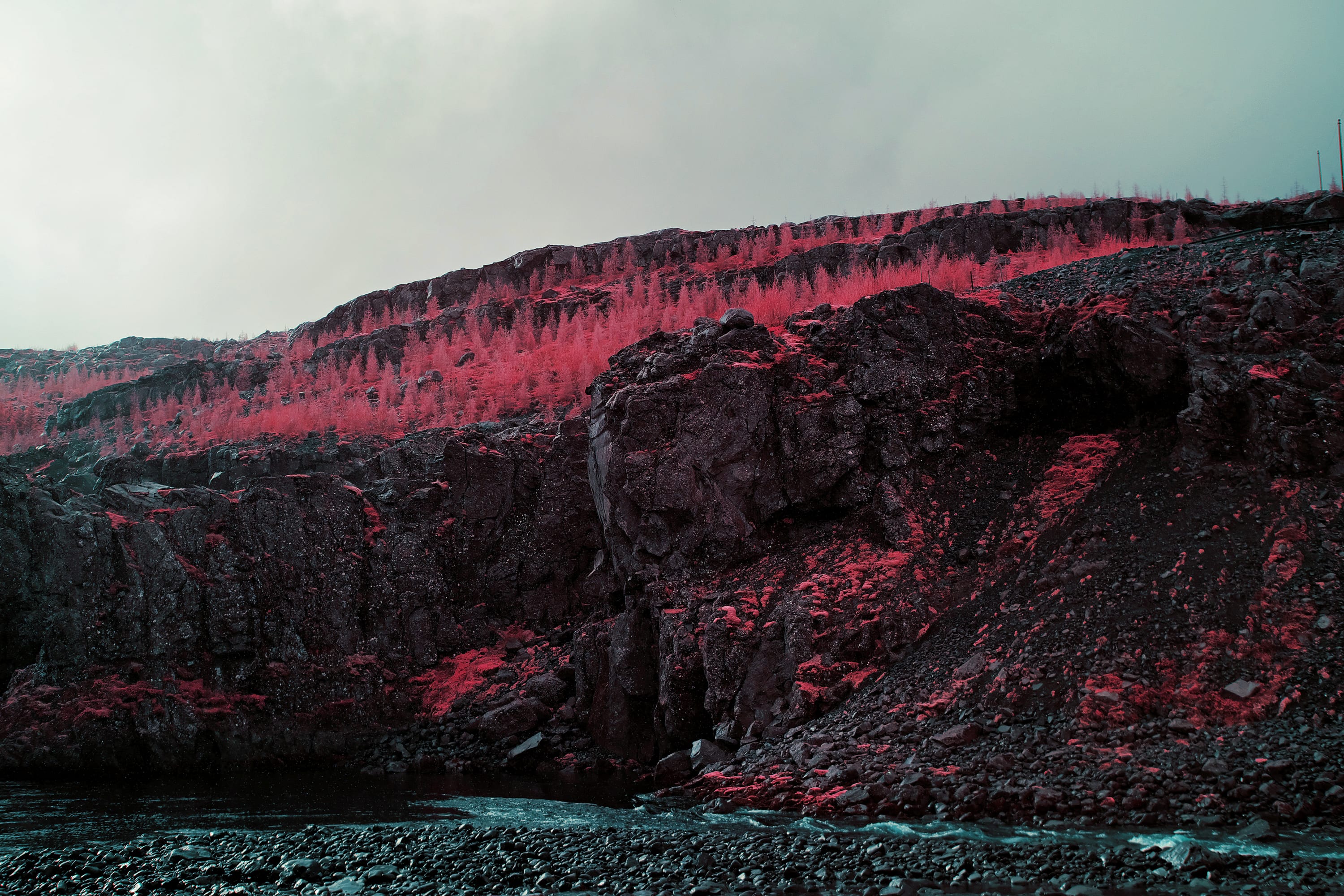 Crimson forest above a black basalt gorge, a pale teal river cutting through the canyon floor