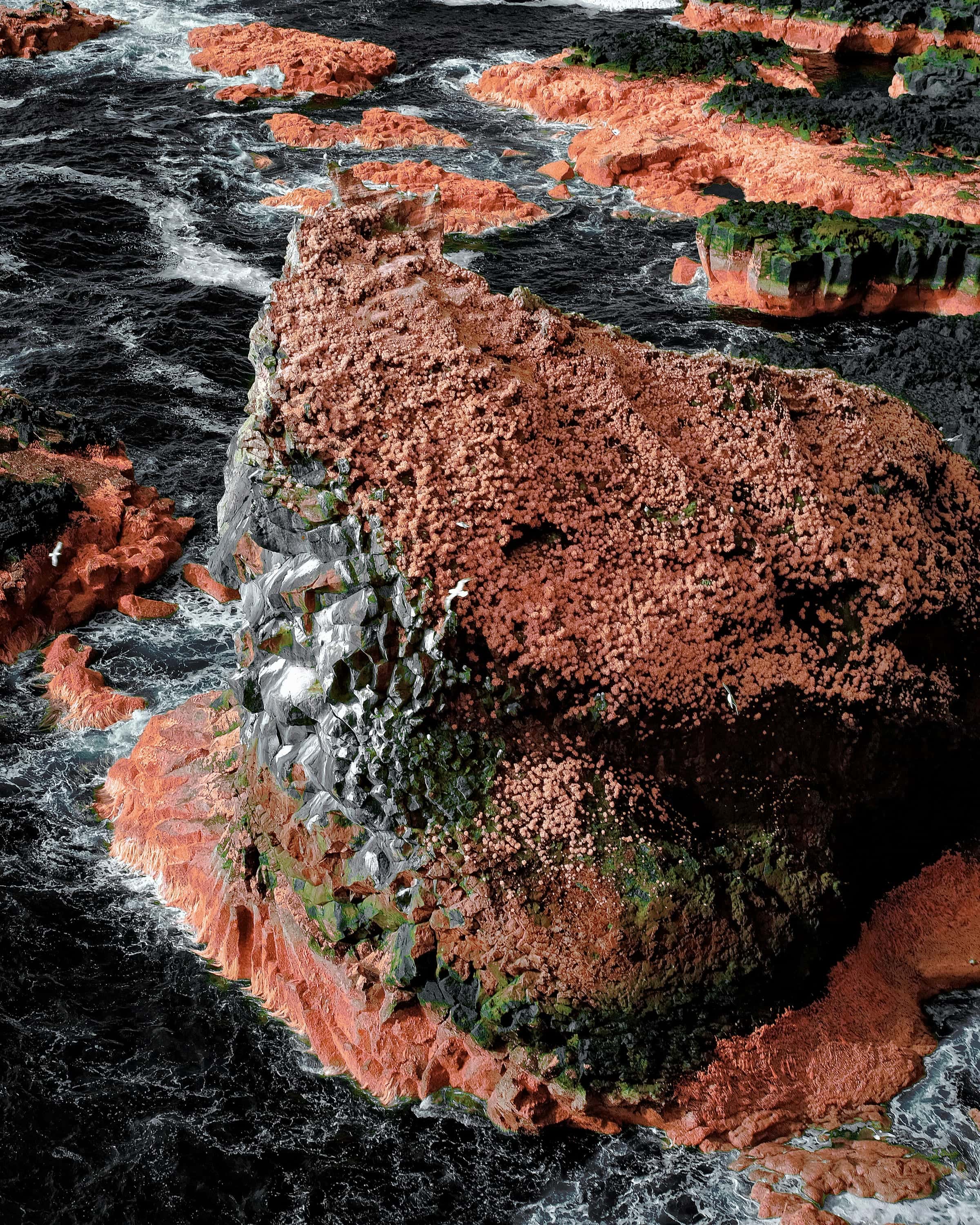 A red-capped coastal rock with thin waterfalls streaking into dark water
