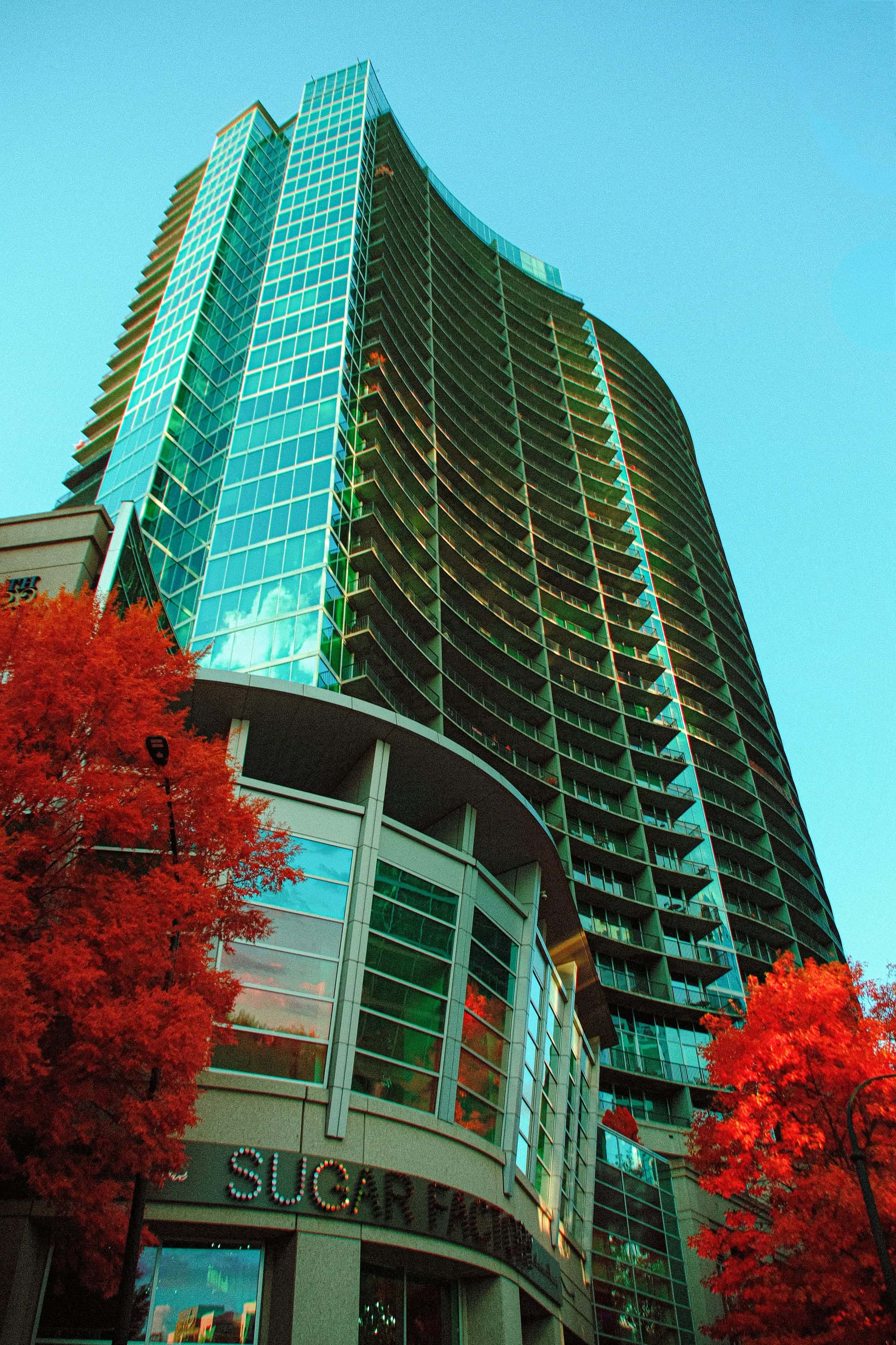 A curved glass condominium tower above crimson trees and a corner storefront