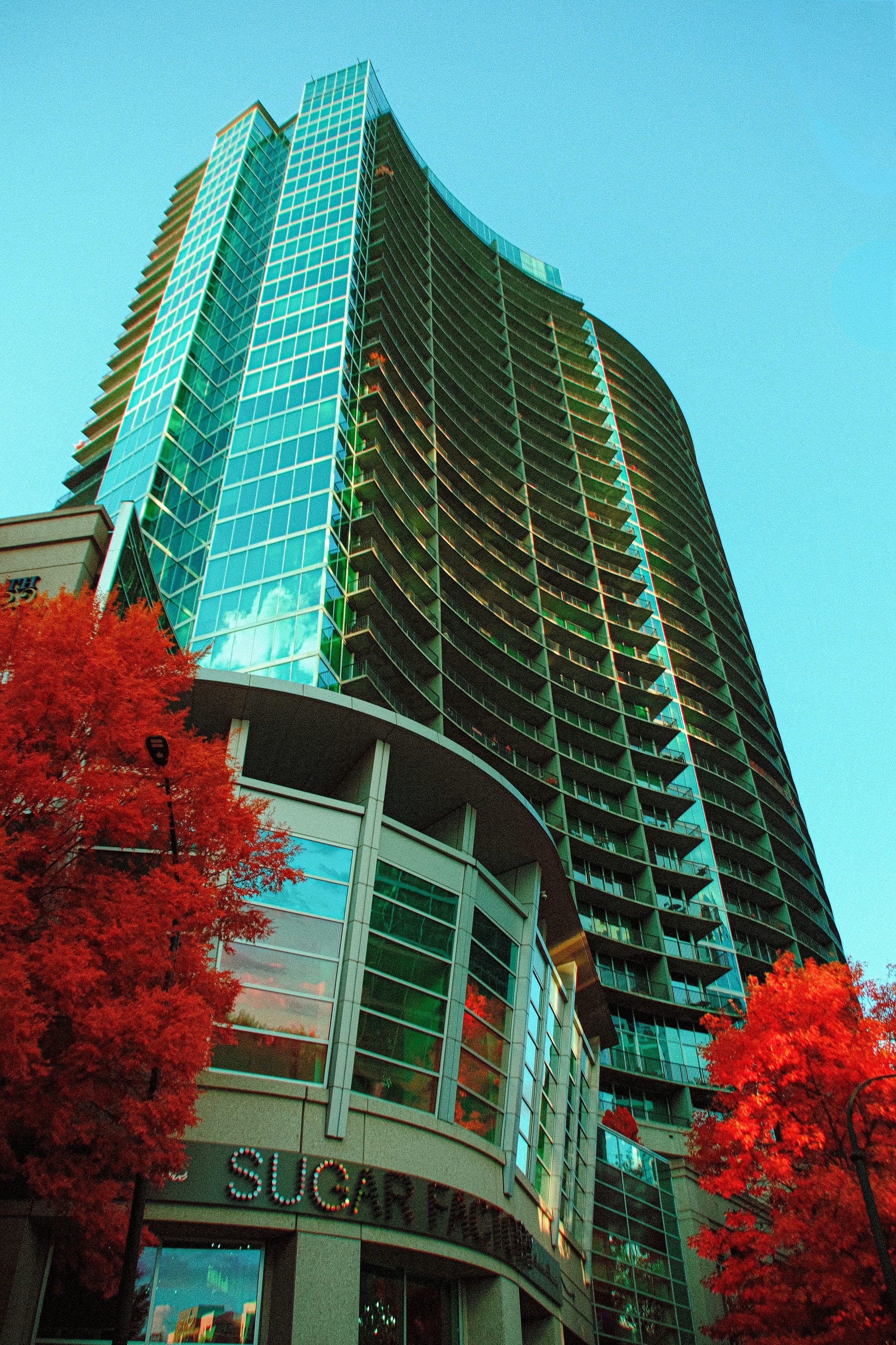 A curved glass condominium tower above crimson trees and a corner storefront