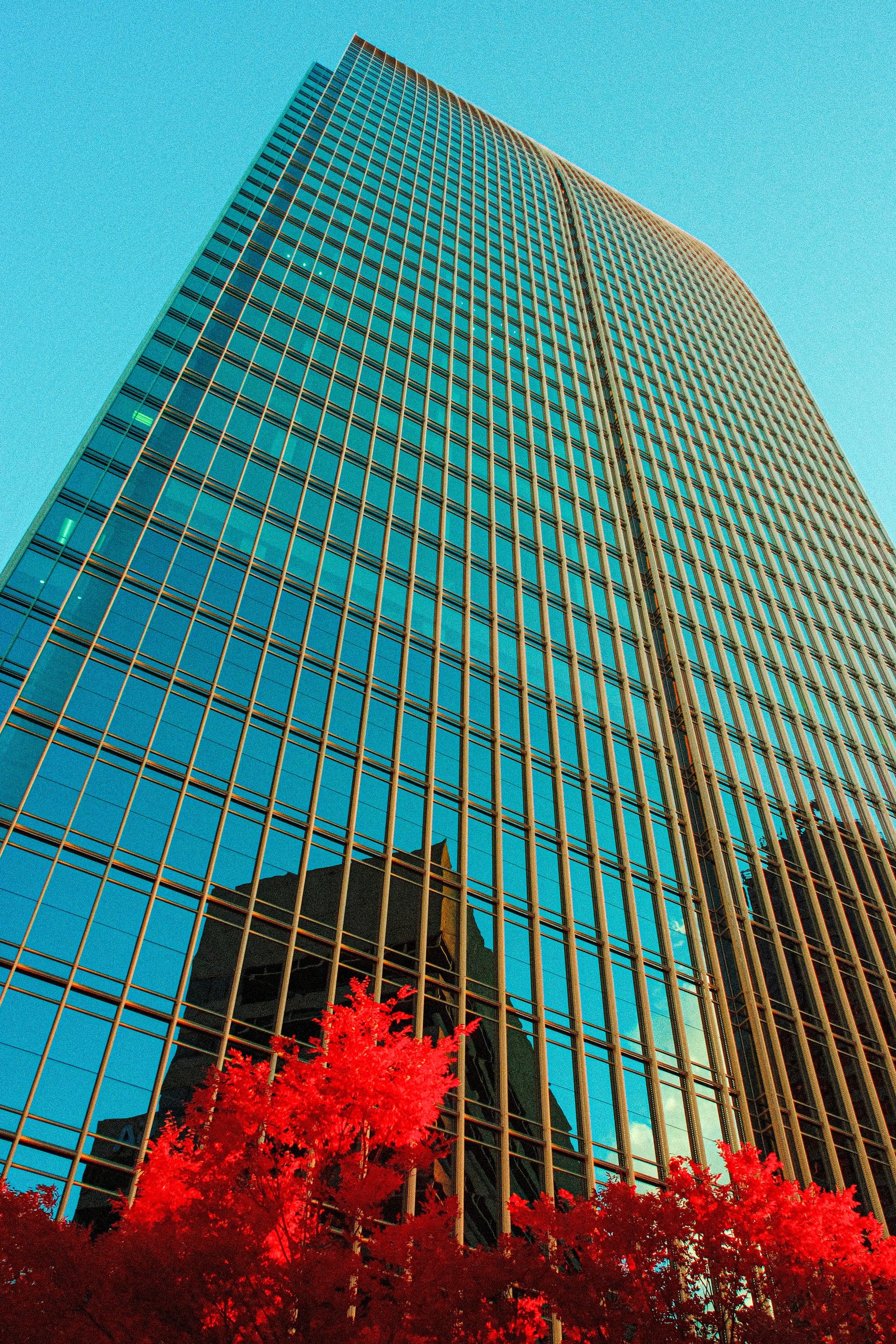 A teal glass curtain wall filling the frame, crimson canopy pressed against its base